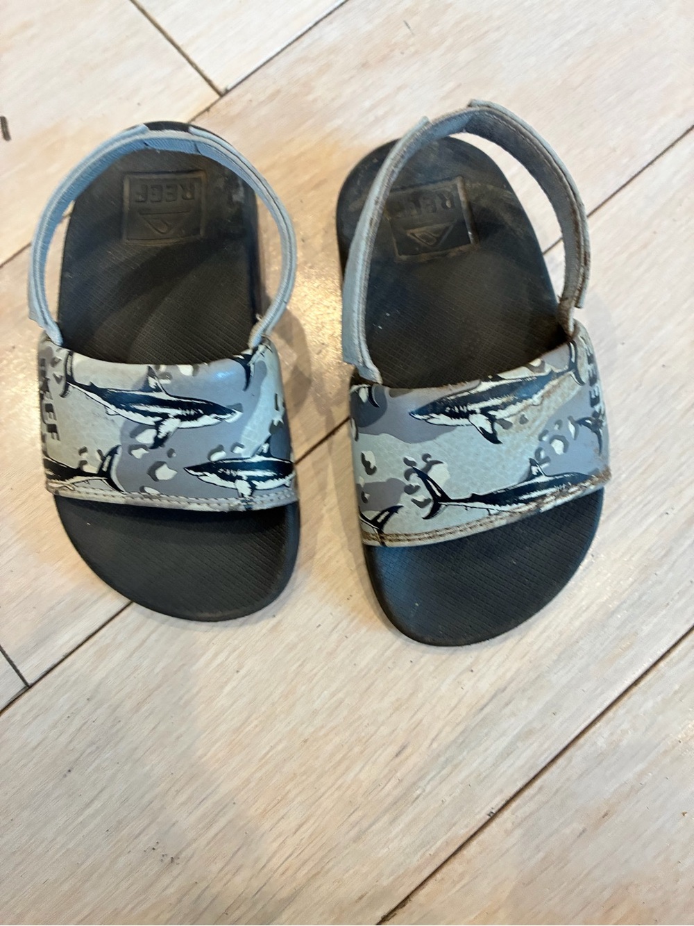 Reef Kids Gray Shark Print Hook-and-Loop Sandals GUC Size 8